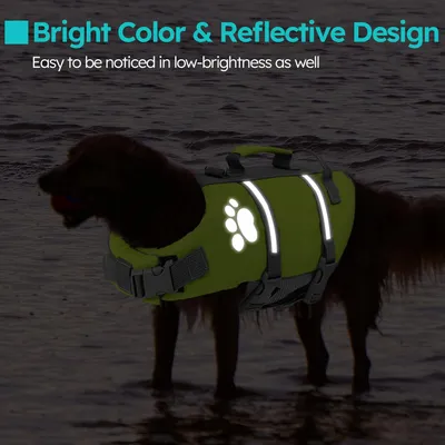 HausPets Chaleco salvavidas reflectante verde para perros, talla M HausPets Chaleco salvavidas reflectante verde para perros, talla M