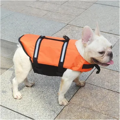 HausPets Rettungsweste Hund Reflektierend PU XXS
