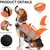 HausPets Chaleco salvavidas reflectante naranja para perros, talla XL