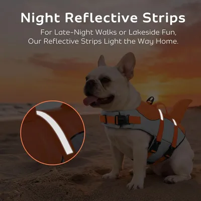 HausPets Chaleco salvavidas reflectante naranja para perros, talla XL