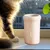 HausPets Laveur Pattes Chien Portable 360° Détachable