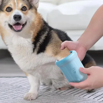 HausPets 360° Pfotenwäscher Hund Tragbar Abnehmbar