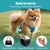 HausPets Hundeflasche Edelstahl 285ml Napf Silikon HausPets Hundeflasche Edelstahl 285ml Napf Silikon