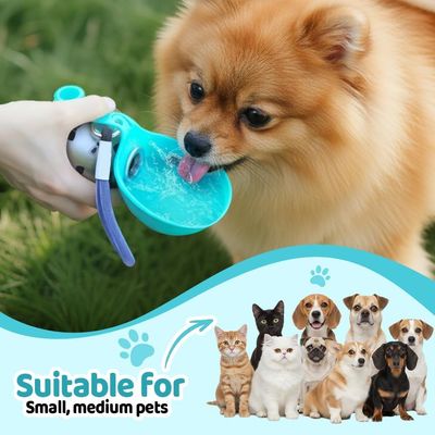 HausPets Gourde Chien Acier Inox 285ml Gamelle Silicone