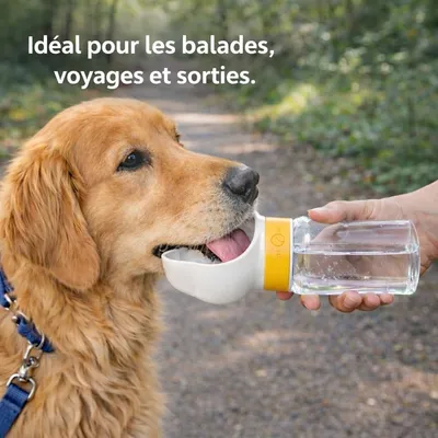 HausPets Hundeflasche 600ml Auslaufsicher Spaziergang HausPets Hundeflasche 600ml Auslaufsicher Spaziergang