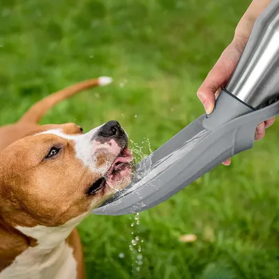 HausPets Wasserflasche Hund 750ml Edelstahl Grau HausPets Wasserflasche Hund 750ml Edelstahl Grau