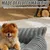 HausPets Waschbares Hundebett Grau 60x45cm Orthopädisch