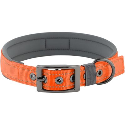 HausPets Hundehalsband Neopren Breit Verstellbar Nylon Schnalle D M