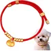 HausPets Halsband Hund Katze Chinesisches Neujahr Goldbarren Zink