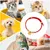 HausPets Halsband Hund Katze Chinesisches Neujahr Goldbarren Zink HausPets Halsband Hund Katze Chinesisches Neujahr Goldbarren Zink