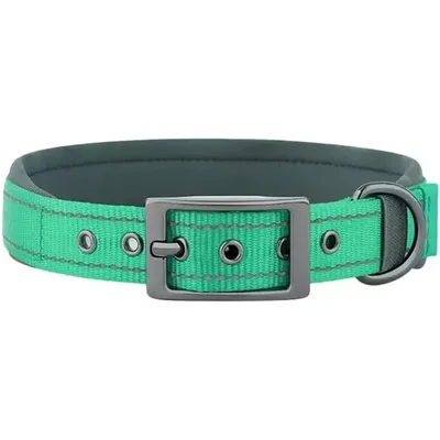 HausPets Hundehalsband Nylon Verstellbar Glatt Blau-Grün XL Klein Mittel HausPets Hundehalsband Nylon Verstellbar Glatt Blau-Grün XL Klein Mittel