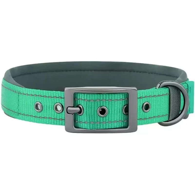 HausPets Hundehalsband Nylon Verstellbar Glatt Blau-Grün XL Klein Mittel