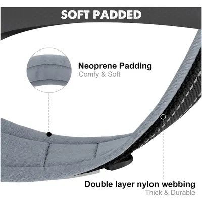 HausPets Hundehalsband Nylon Verstellbar Glatt Blau-Grün XL Klein Mittel HausPets Hundehalsband Nylon Verstellbar Glatt Blau-Grün XL Klein Mittel