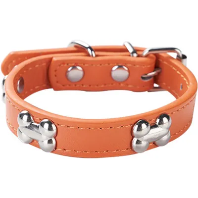 HausPets Hundehalsband Kunstleder Gepolstert Orange S HausPets Hundehalsband Kunstleder Gepolstert Orange S