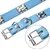 HausPets Hundehalsband Kunstleder Gepolstert Orange S HausPets Hundehalsband Kunstleder Gepolstert Orange S