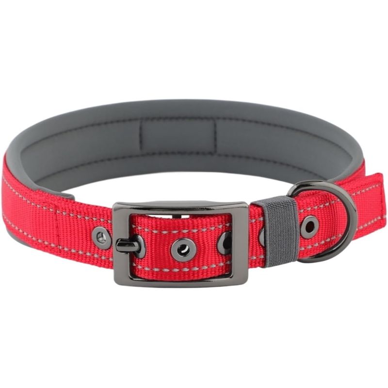 HausPets Hundehalsband Neopren Breit Verstellbar Nylon Schnalle A M