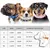 HausPets Hundehalsband Kunstleder Gepolstert Braun S HausPets Hundehalsband Kunstleder Gepolstert Braun S