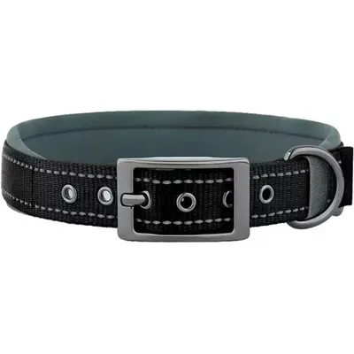 HausPets Hundehalsband Nylon Robust Verstellbar XL Schwarz HausPets Hundehalsband Nylon Robust Verstellbar XL Schwarz