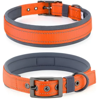 HausPets Hundehalsband Neopren Breit Verstellbar Nylon Schnalle C M