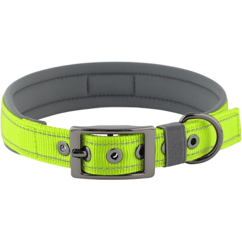 HausPets Hundehalsband Neopren Breit Verstellbar Nylon Schnalle C M