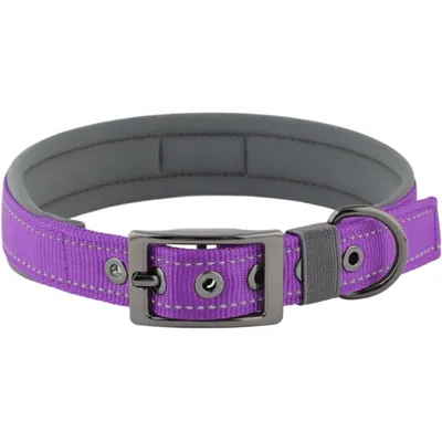 HausPets Hundehalsband Neopren Breit Verstellbar Nylon Schnalle B M HausPets Hundehalsband Neopren Breit Verstellbar Nylon Schnalle B M