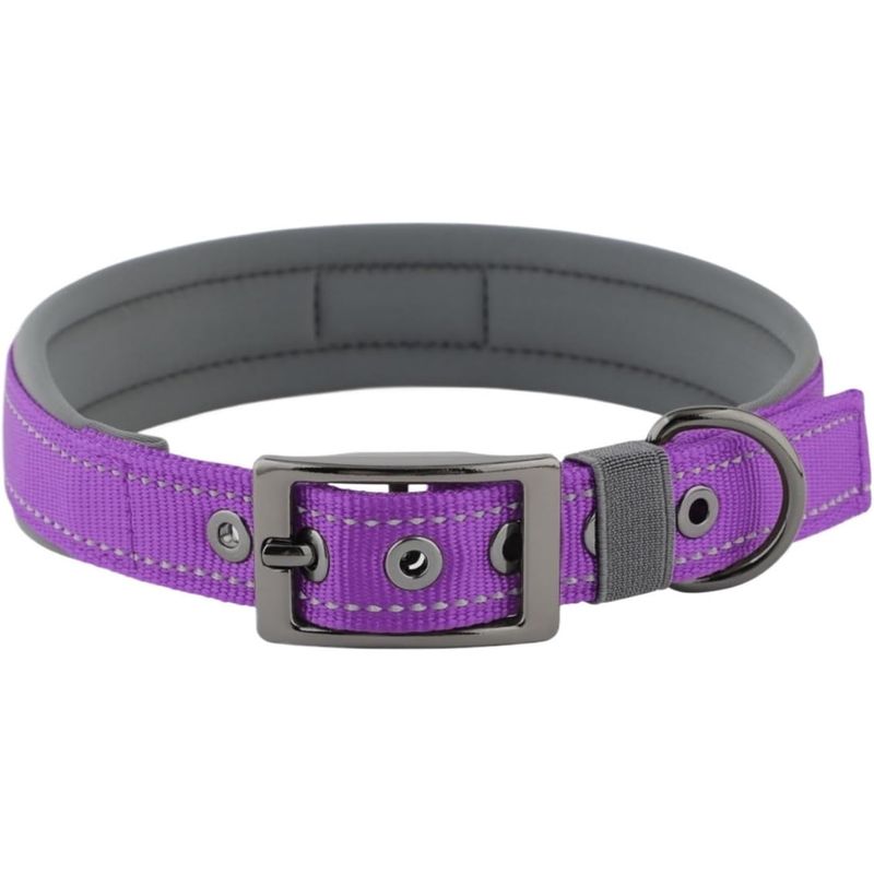 HausPets Hundehalsband Neopren Breit Verstellbar Nylon Schnalle B M