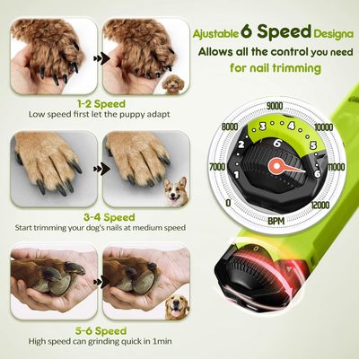 HausPets Lime Ongles Chien 6 Vitesses LED Double USB