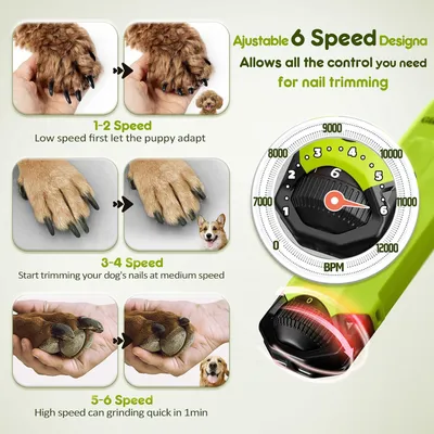 HausPets Nagelfeile Hund 6 Geschwindigkeiten Doppel LED USB HausPets Nagelfeile Hund 6 Geschwindigkeiten Doppel LED USB