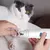 HausPets Elektrische Nagelfeile Hund Katze Leise HausPets Elektrische Nagelfeile Hund Katze Leise