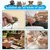 HausPets LED Krallenschneider Hund Katze Kaninchen Sicher HausPets LED Krallenschneider Hund Katze Kaninchen Sicher