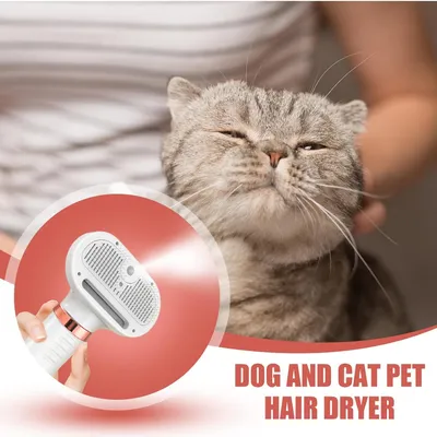 HausPets Sèche-cheveux Chien Toilettage Température Réglable HausPets Sèche-cheveux Chien Toilettage Température Réglable