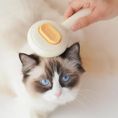 HausPets Brosse Toilettage Chat Démêlage Déverrouillage Jaune HausPets Brosse Toilettage Chat Démêlage Déverrouillage Jaune