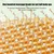 HausPets Brosse Toilettage Chat Démêlage Déverrouillage Jaune HausPets Brosse Toilettage Chat Démêlage Déverrouillage Jaune