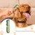 HausPets Brosse Toilettage Pliable Chien Chat Anti Perte HausPets Brosse Toilettage Pliable Chien Chat Anti Perte