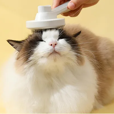 HausPets Brosse Anti-Perte Chat Douce Démêlage Portable HausPets Brosse Anti-Perte Chat Douce Démêlage Portable