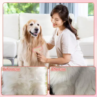 HausPets Brosse Lapin Silicone Massage Petit Animal HausPets Brosse Lapin Silicone Massage Petit Animal