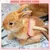 HausPets Brosse Lapin Silicone Massage Petit Animal HausPets Brosse Lapin Silicone Massage Petit Animal