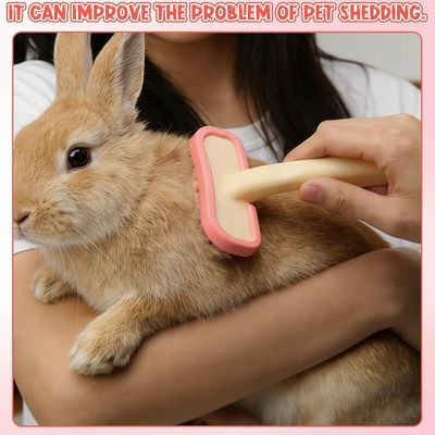 HausPets Brosse Lapin Silicone Massage Petit Animal