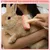HausPets Brosse Lapin Silicone Massage Petit Animal HausPets Brosse Lapin Silicone Massage Petit Animal