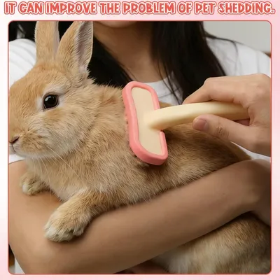 HausPets Brosse Lapin Silicone Massage Petit Animal HausPets Brosse Lapin Silicone Massage Petit Animal