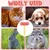 HausPets Brosse Lapin Silicone Massage Petit Animal HausPets Brosse Lapin Silicone Massage Petit Animal