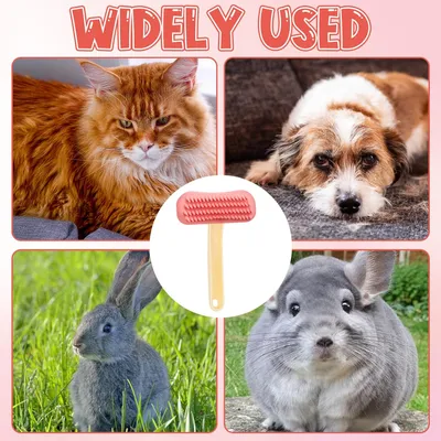HausPets Brosse Lapin Silicone Massage Petit Animal HausPets Brosse Lapin Silicone Massage Petit Animal