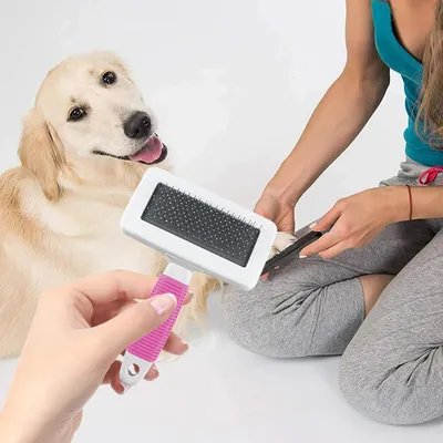 HausPets Brosse Toilettage Chien Acier Inoxydable HausPets Brosse Toilettage Chien Acier Inoxydable