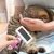 HausPets Brosse Toilettage Chien Acier Inoxydable HausPets Brosse Toilettage Chien Acier Inoxydable