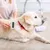 HausPets Brosse Toilettage Chien Acier Inoxydable HausPets Brosse Toilettage Chien Acier Inoxydable