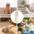HausPets Brosse Toilettage Pliable Chien Chat Anti Perte HausPets Brosse Toilettage Pliable Chien Chat Anti Perte