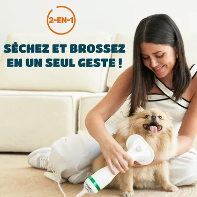 HausPets Séchoir Brosse Chien Chat 2en1 Silencieux Portable HausPets Séchoir Brosse Chien Chat 2en1 Silencieux Portable