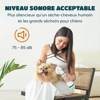 HausPets Séchoir Brosse Chien Chat 2en1 Silencieux Portable HausPets Séchoir Brosse Chien Chat 2en1 Silencieux Portable