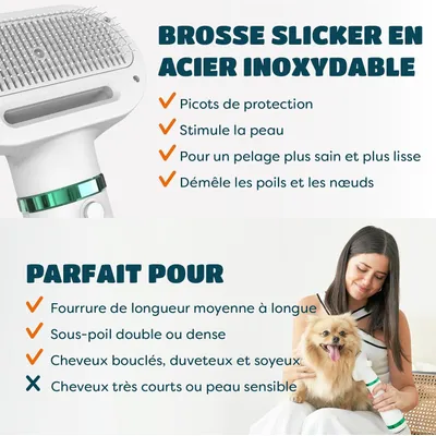 HausPets Séchoir Brosse Chien Chat 2en1 Silencieux Portable HausPets Séchoir Brosse Chien Chat 2en1 Silencieux Portable