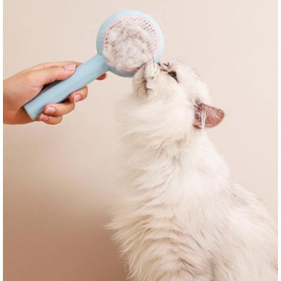 HausPets Brosse Toilettage Chat Chien Bleu Anti Poils